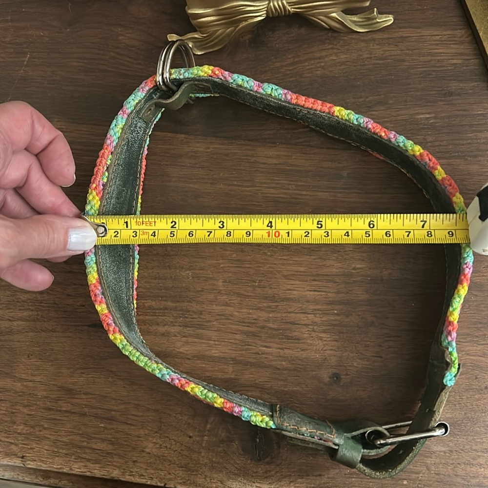 Dog collar - Picture 9 of 9